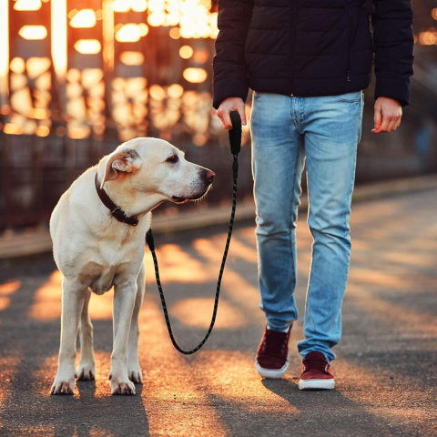 Smycz treningowa dla Dużego Psa Linka Gruba Odblaskowa wytrzymała gruba długa 5m